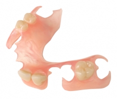 Partial Denture