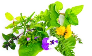 Flowers and leaves